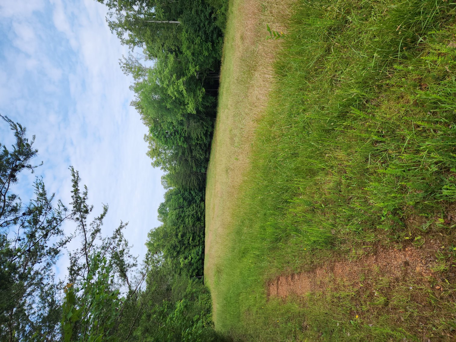 Image for Real Estate Auction - 17.914 Acres in Patrick County, VA