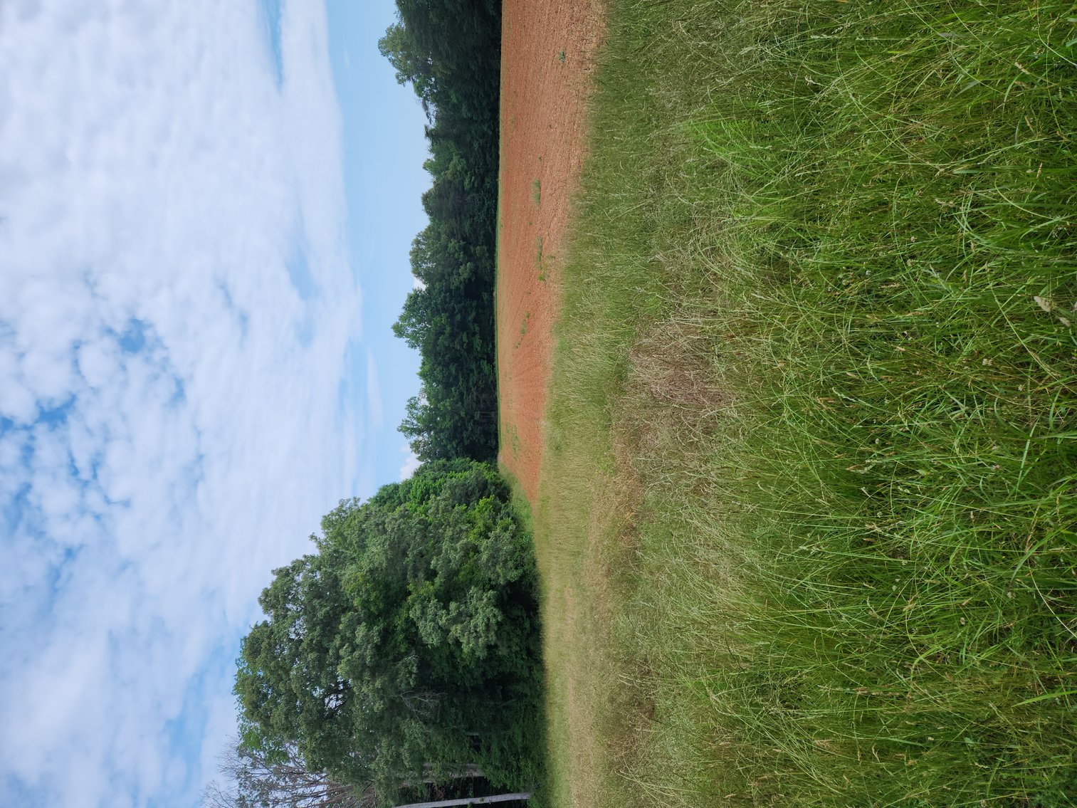 Image for Real Estate Auction - 17.914 Acres in Patrick County, VA