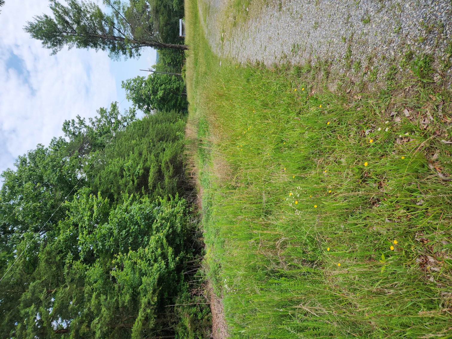 Image for Real Estate Auction - 17.914 Acres in Patrick County, VA