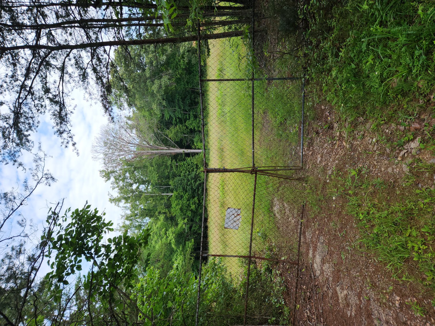 Image for Real Estate Auction - 17.914 Acres in Patrick County, VA