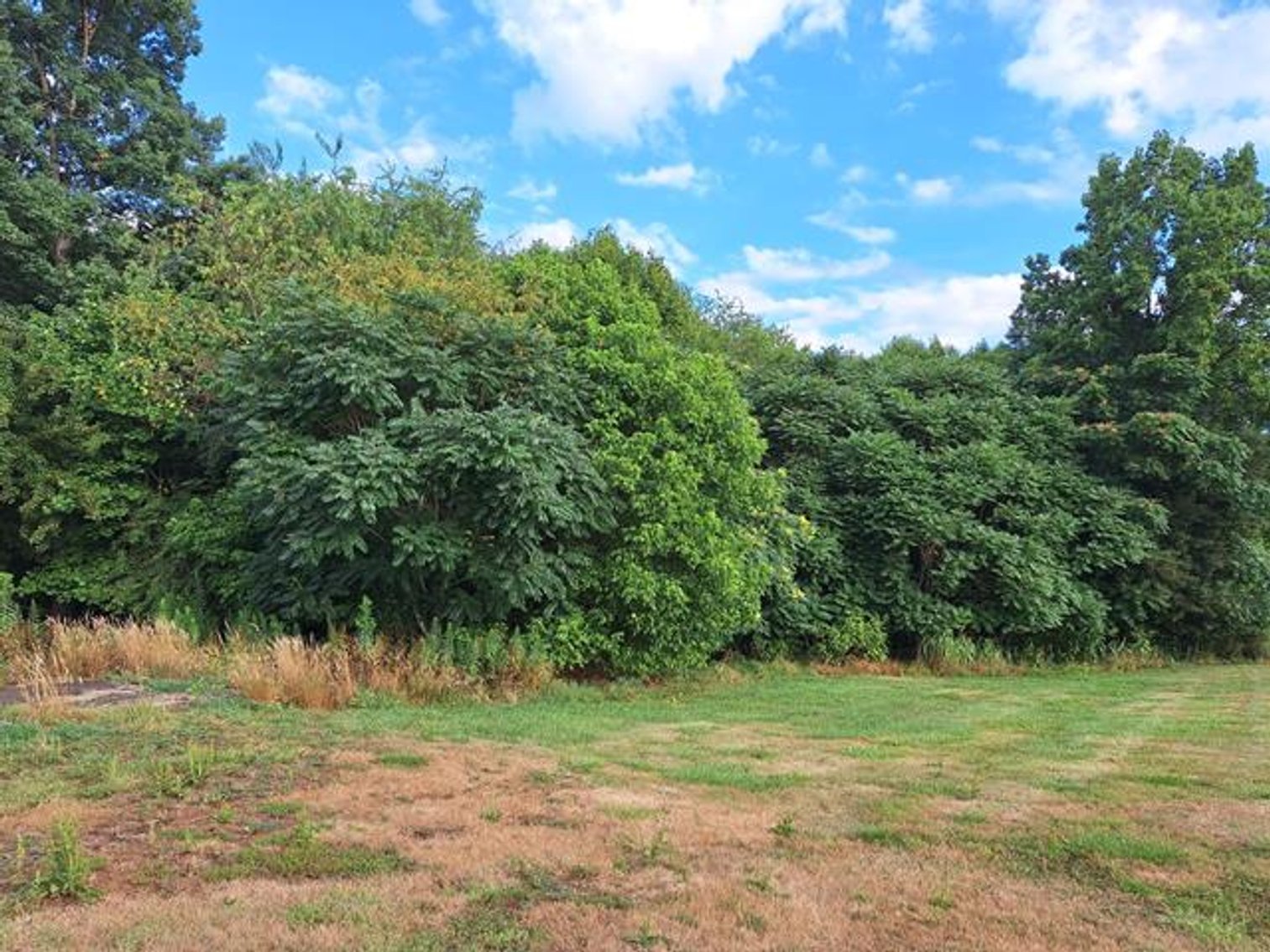 Image for 129 Fontana Lane