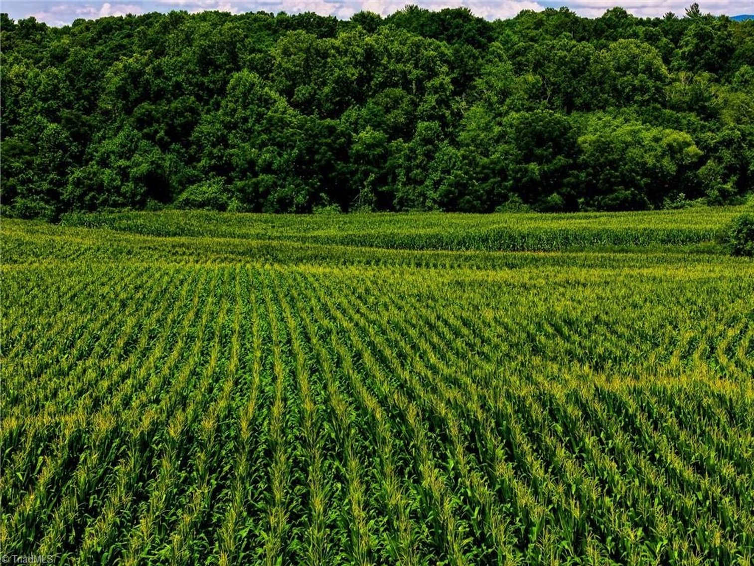 Image for Land For Sale in Sate Road - 360 Mountain Park Road