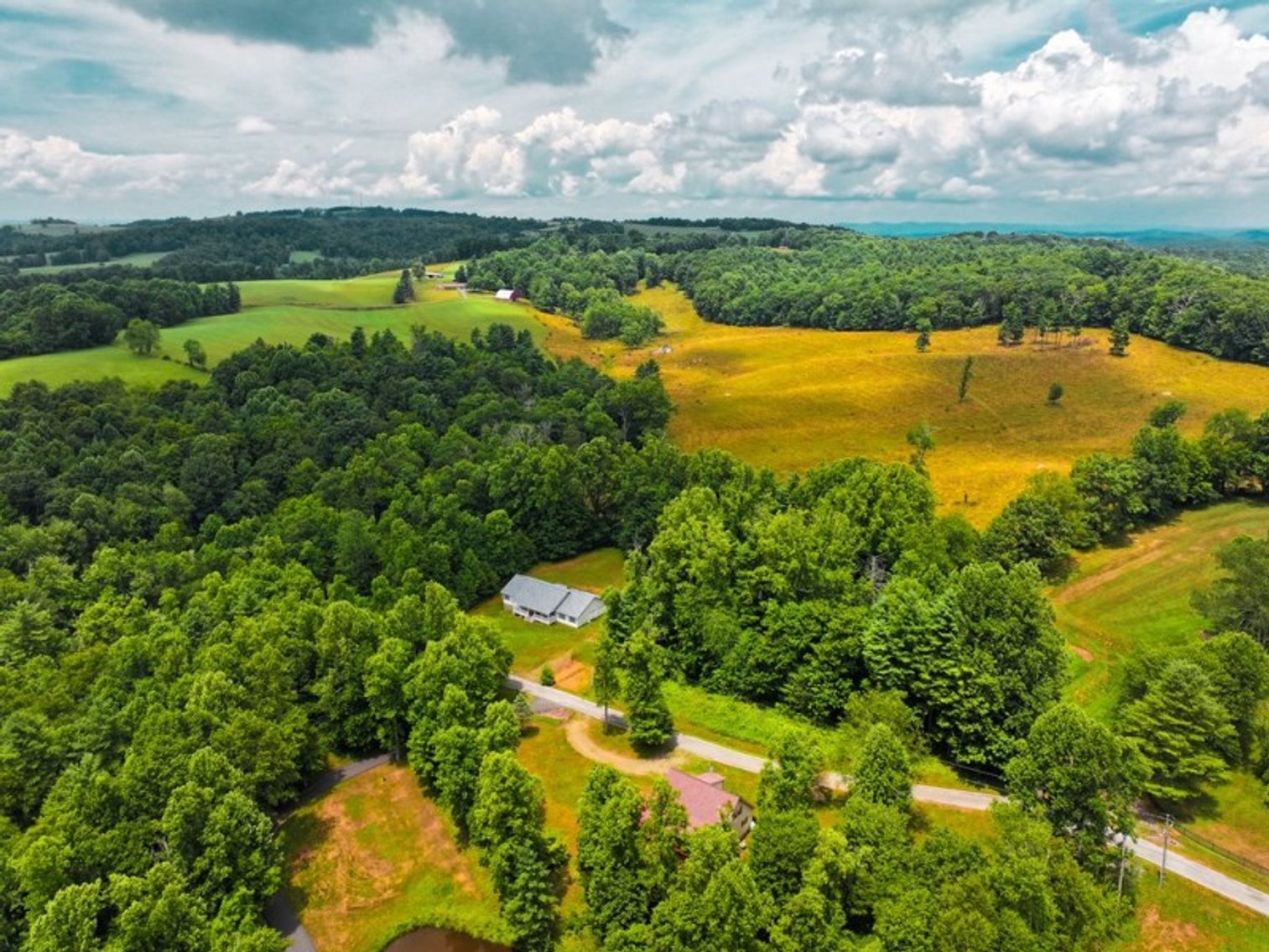 Image for 409 Rhododendron