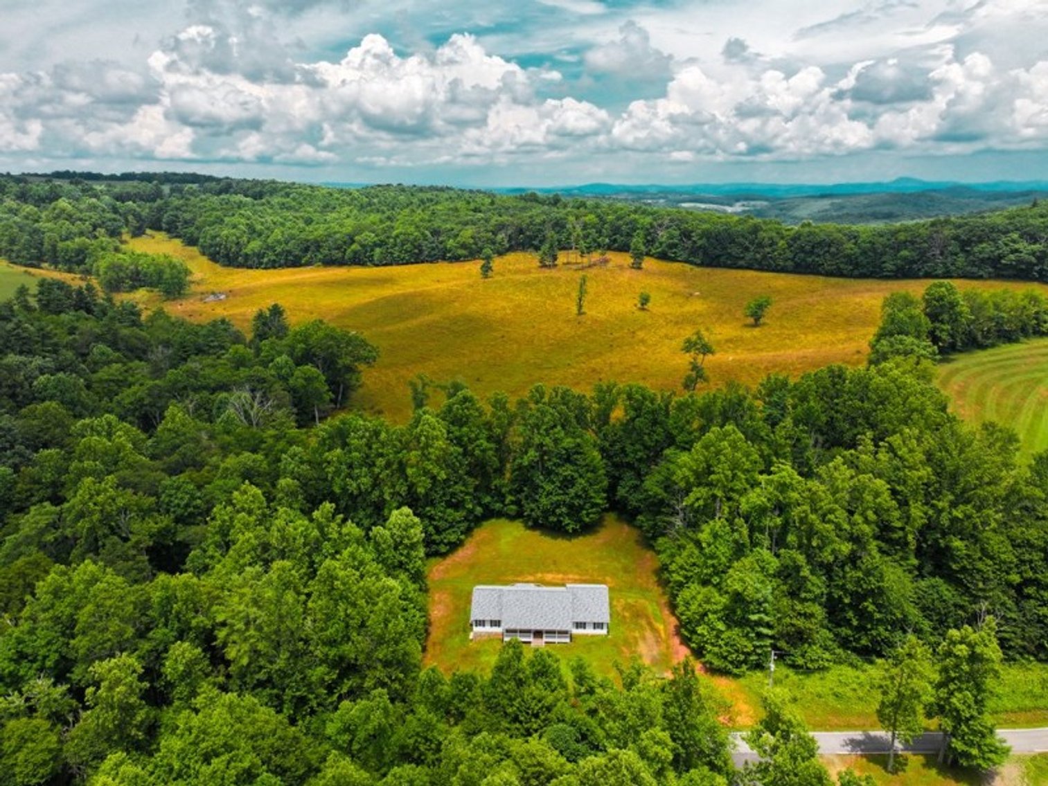 Image for 409 Rhododendron