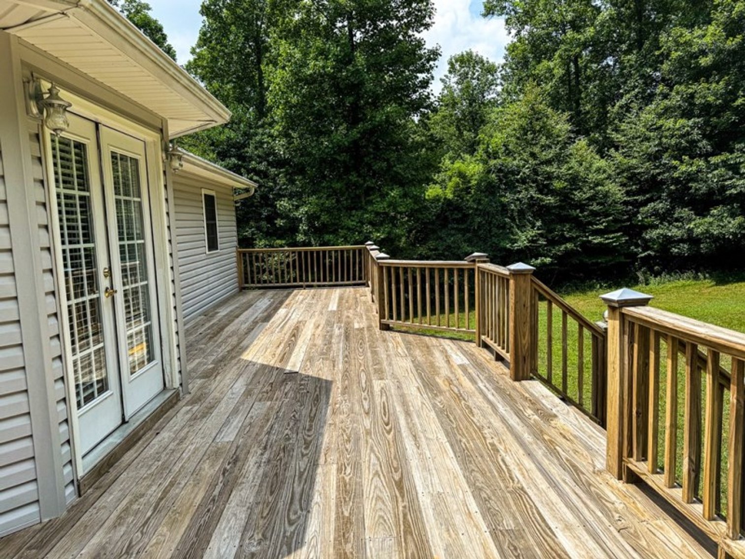 Image for 409 Rhododendron