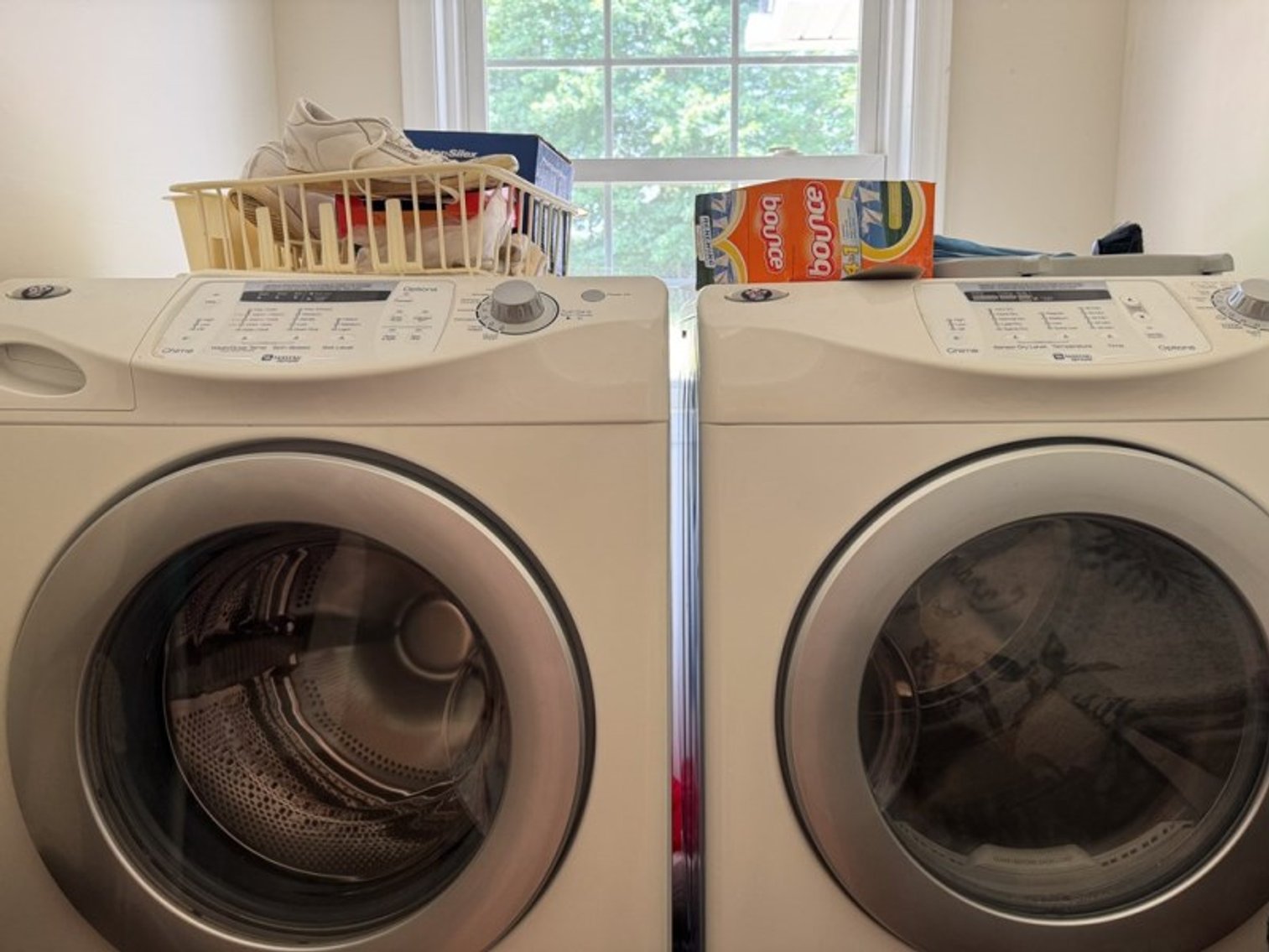 Image for 409 Rhododendron