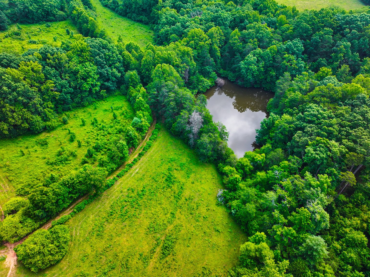 Image for Commissioner's Sale - 59± Acres in Mount Airy, NC (In Upset Bid Period)