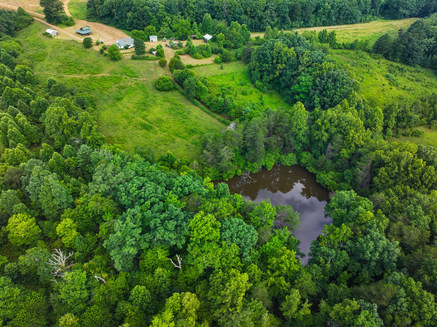 Image for Commissioner's Sale - 59± Acres in Mount Airy, NC (In Upset Bid Period)