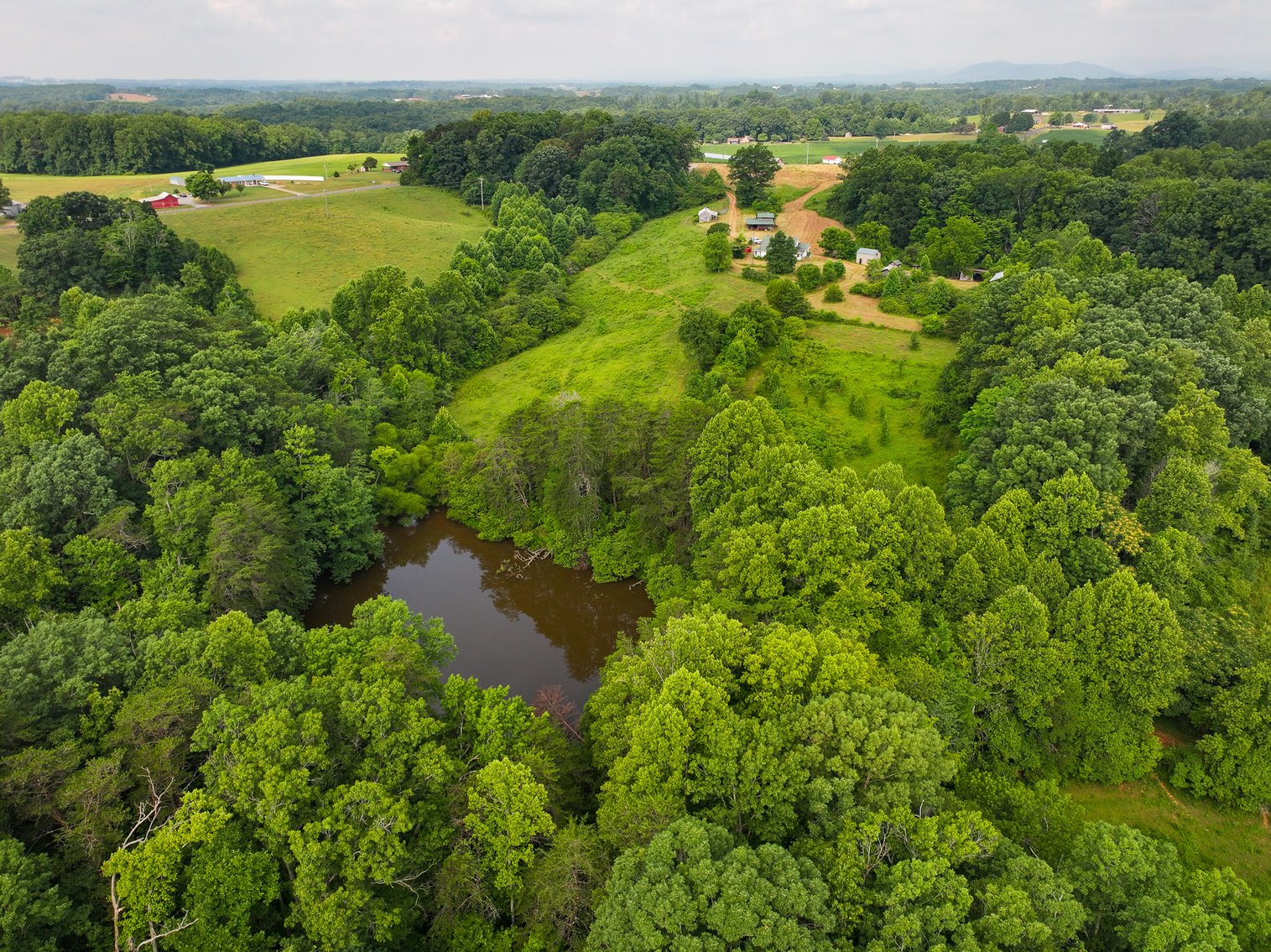 Image for Commissioner's Sale - 59± Acres in Mount Airy, NC (In Upset Bid Period)