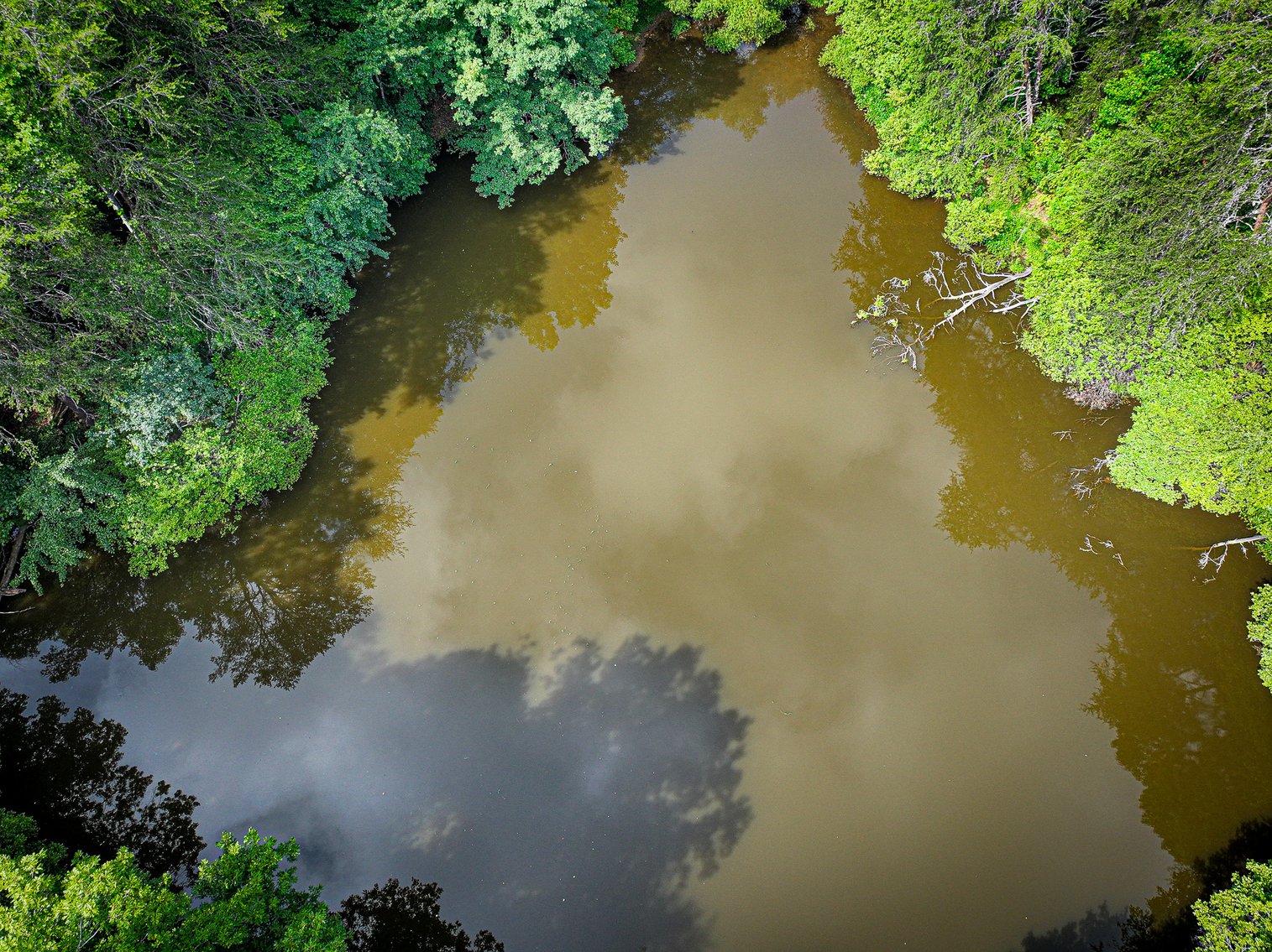 Image for Commissioner's Sale - 59± Acres in Mount Airy, NC (In Upset Bid Period)