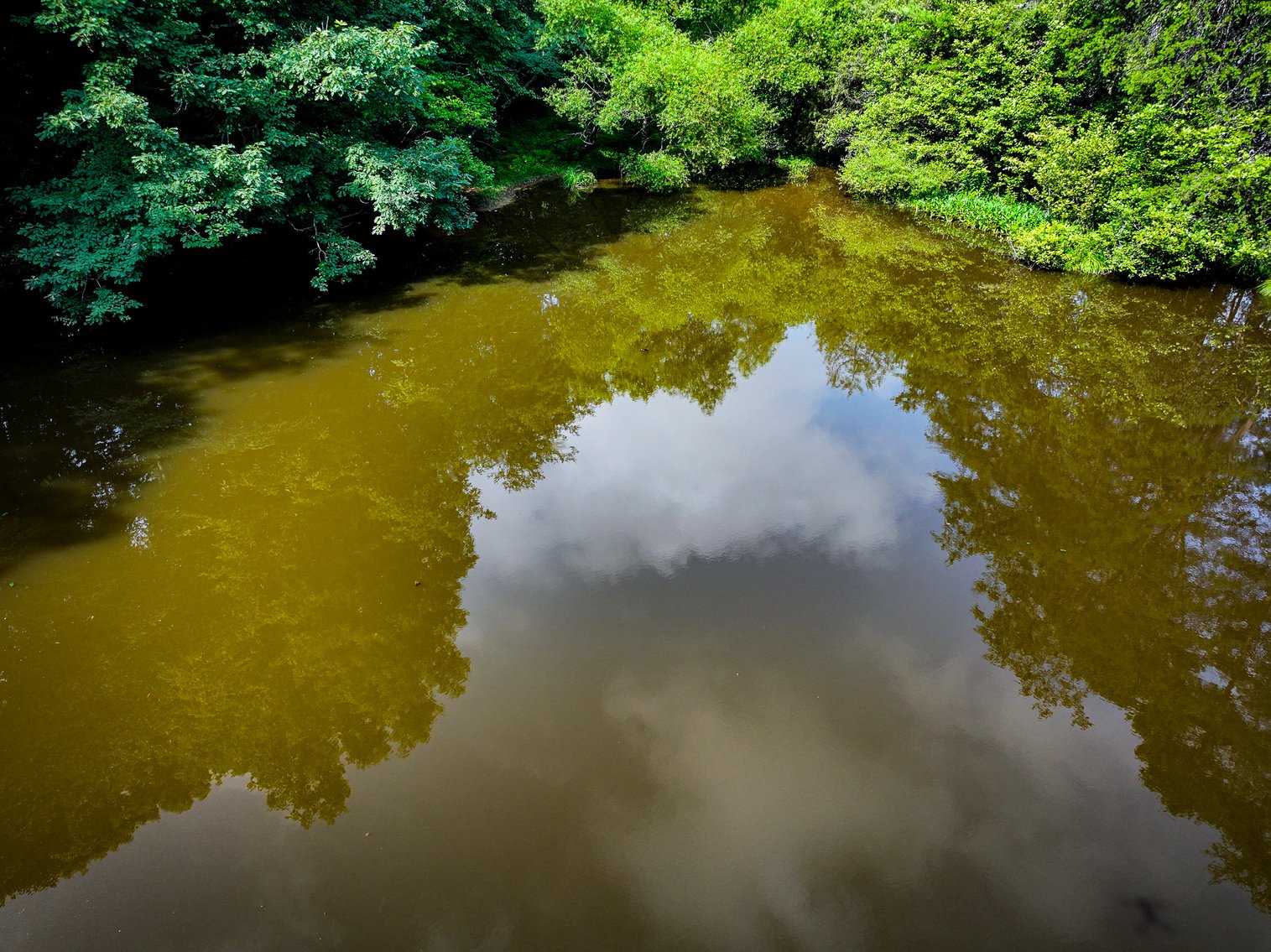 Image for Commissioner's Sale - 59± Acres in Mount Airy, NC (In Upset Bid Period)