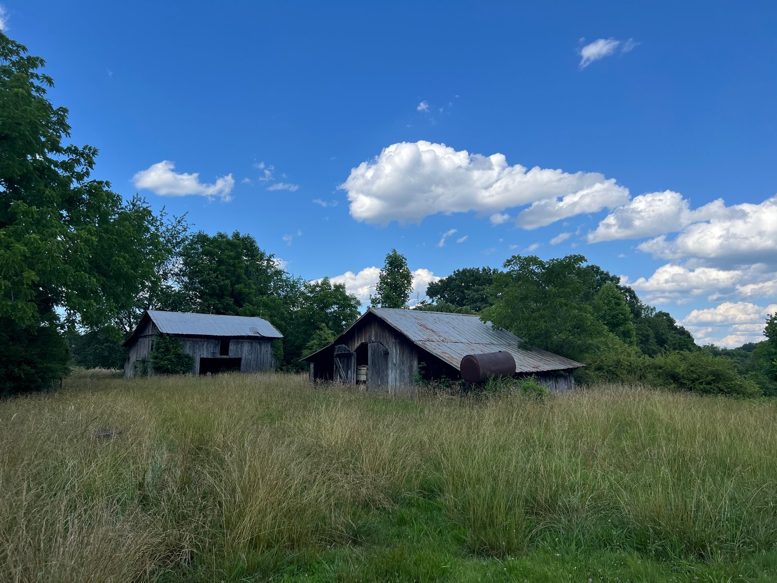 Image for Commissioner's Sale - 59± Acres in Mount Airy, NC (In Upset Bid Period)