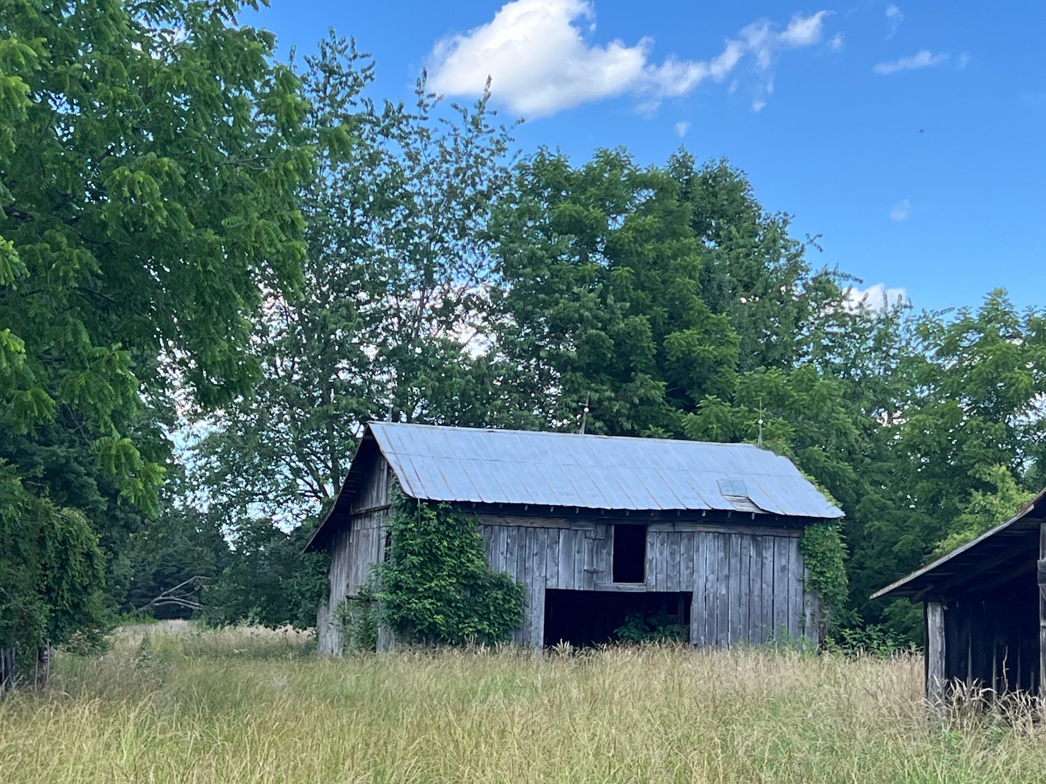 Image for Commissioner's Sale - 59± Acres in Mount Airy, NC (In Upset Bid Period)