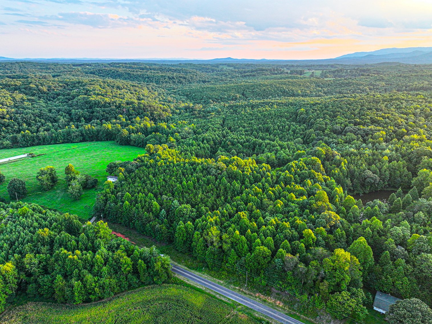 Image for Land For Sale in Dobson - 00 Fisher Valley Road