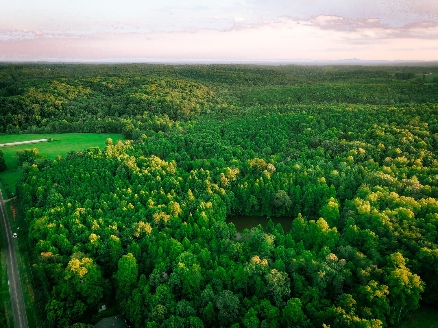 Image for Land For Sale in Dobson - 00 Fisher Valley Road