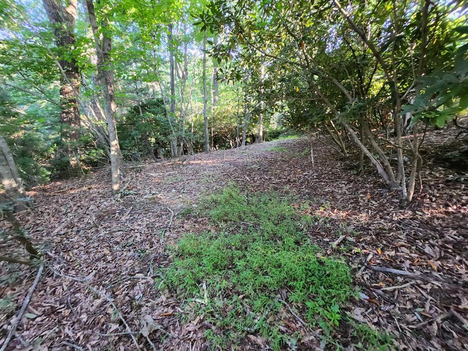 Image for Land For Sale in Fancy Gap, VA - TBD Panorama Drive