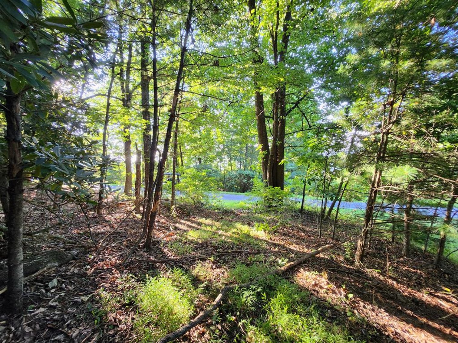 Image for Land For Sale in Fancy Gap, VA - TBD Panorama Drive