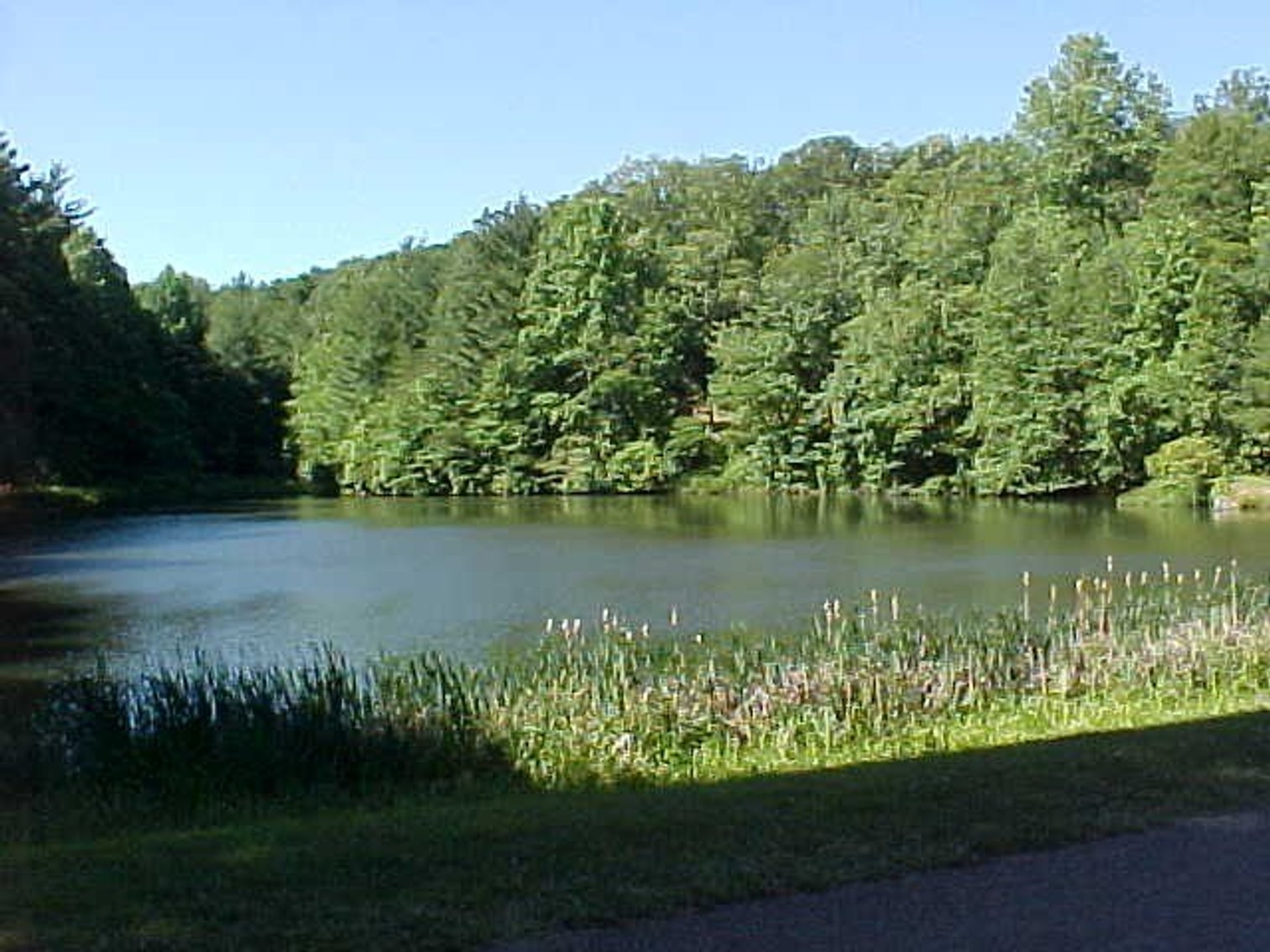 Image for Land For Sale in Fancy Gap, VA - TBD Panorama Drive