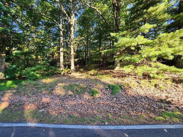 Land For Sale in Fancy Gap, VA - TBD Panorama Drive