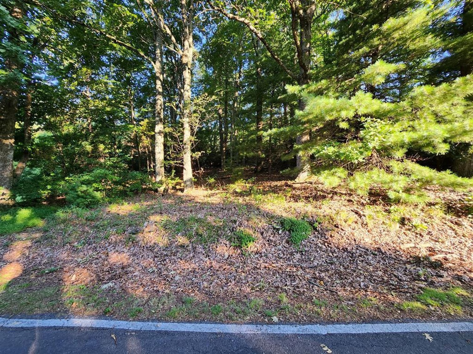 Image for Land For Sale in Fancy Gap, VA - TBD Panorama Drive