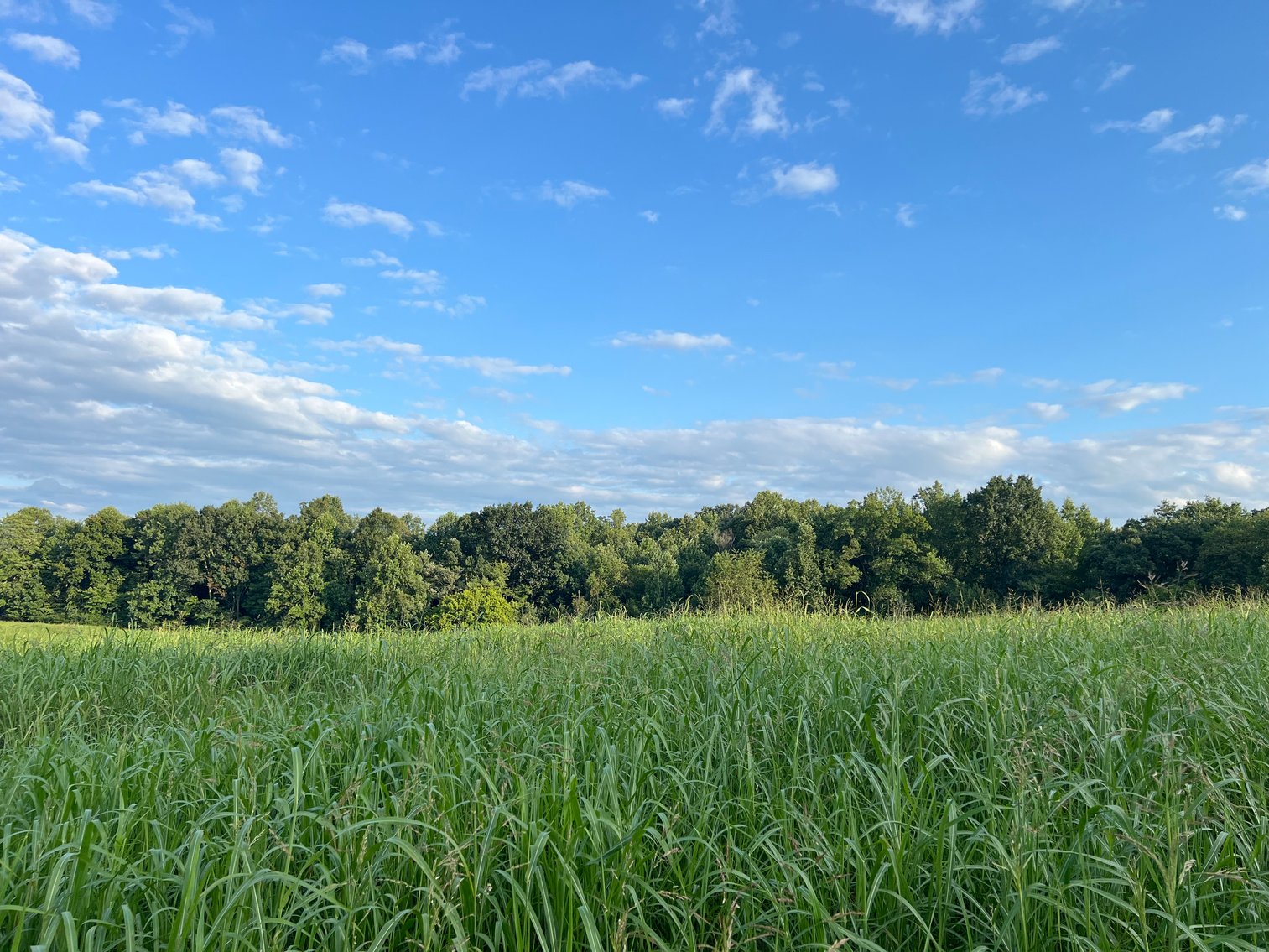 Image for Home For Sale in Siloam - 5671 Siloam Road