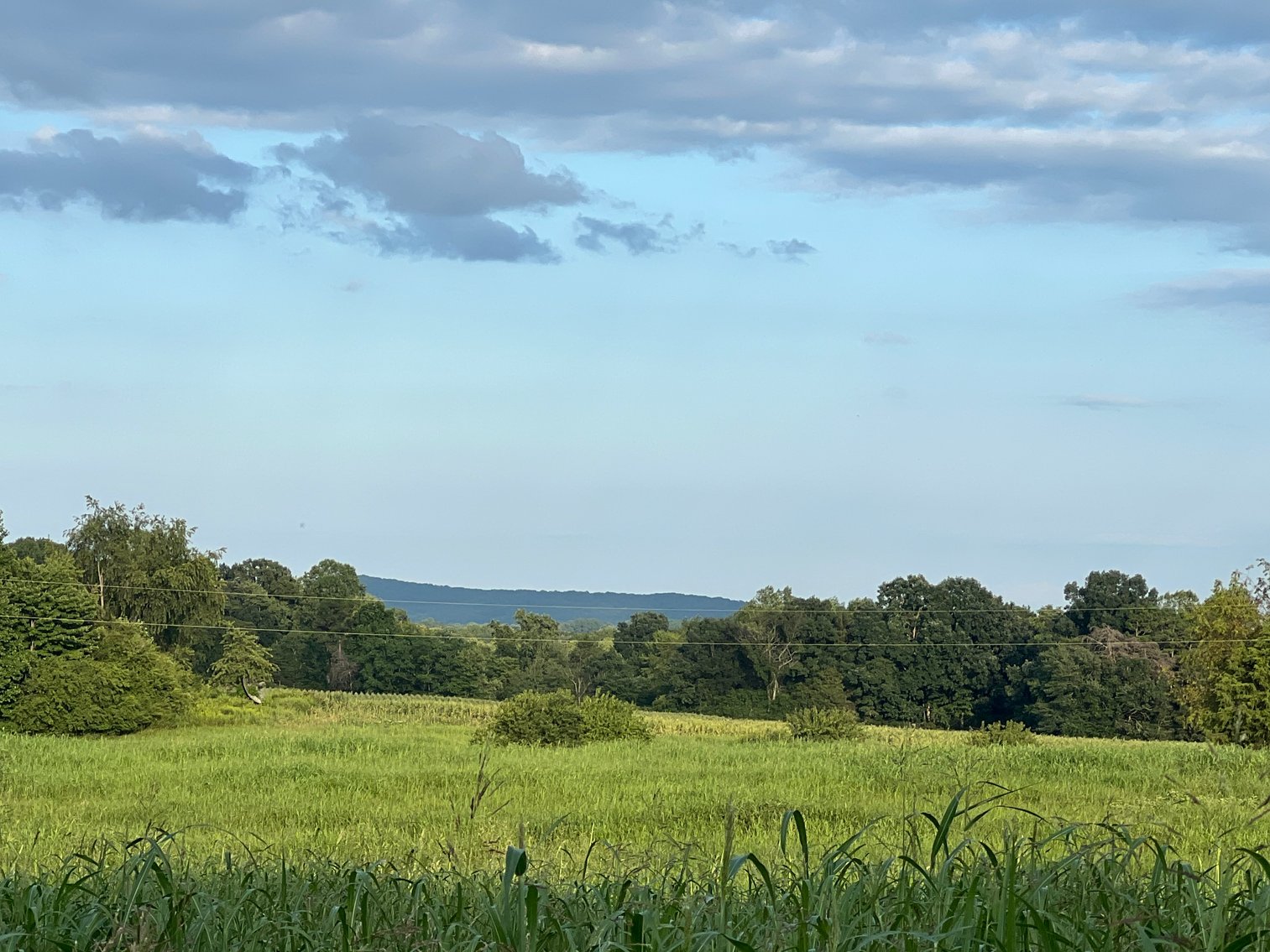 Image for Home For Sale in Siloam - 5671 Siloam Road