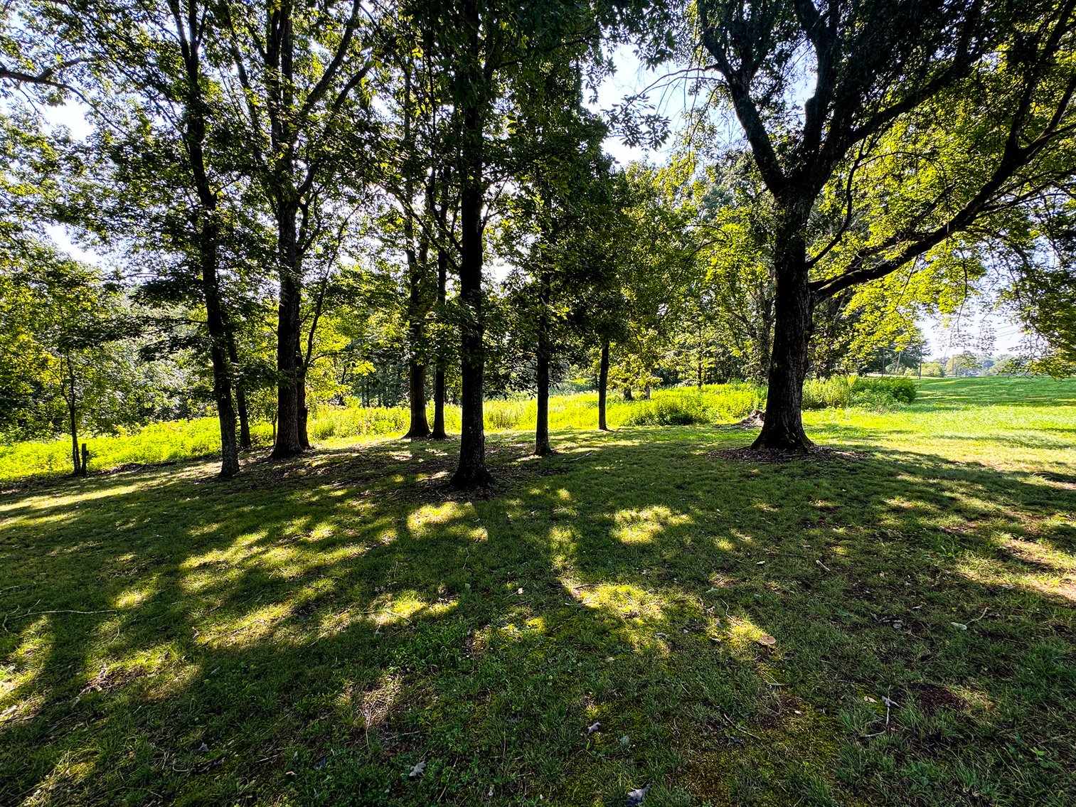 Image for Home For Sale in Siloam - 5671 Siloam Road