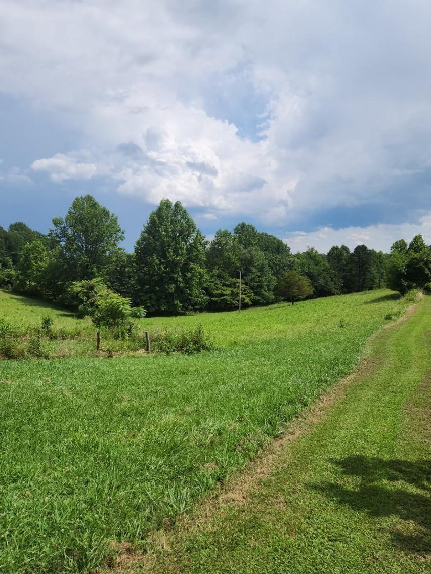 Image for Real Estate Auction - 60± Acres with Farmhouse in Patrick County, VA