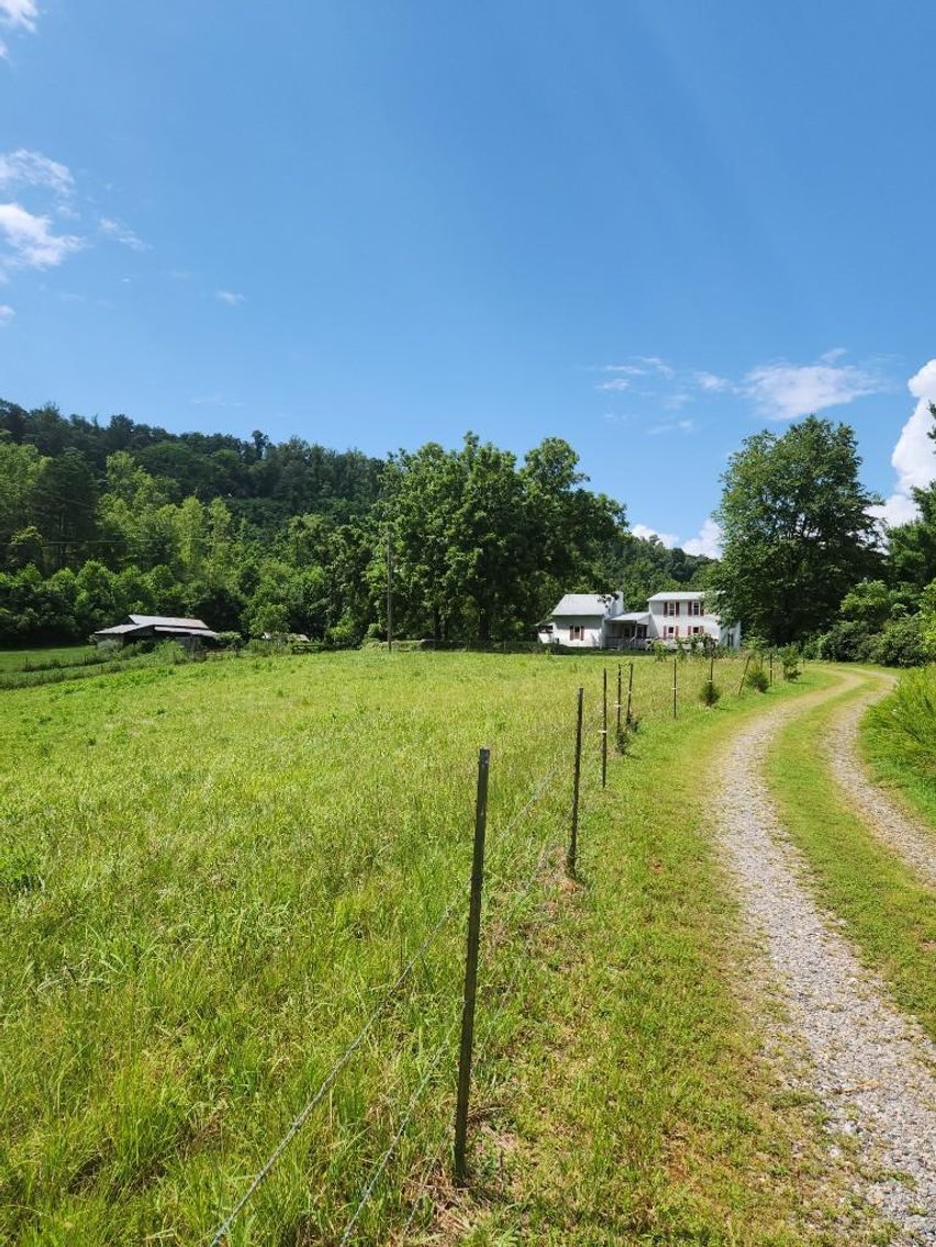 Image for Real Estate Auction - 60± Acres with Farmhouse in Patrick County, VA