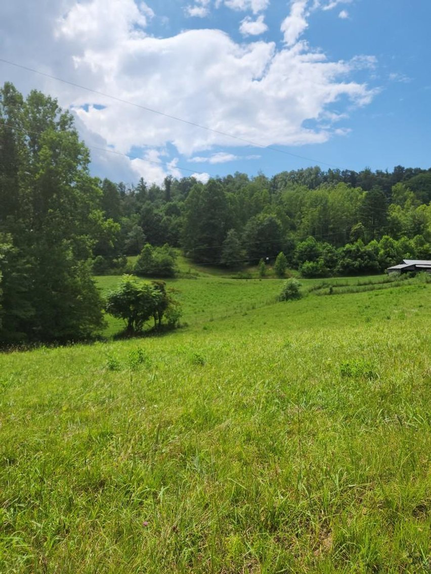 Image for Real Estate Auction - 60± Acres with Farmhouse in Patrick County, VA