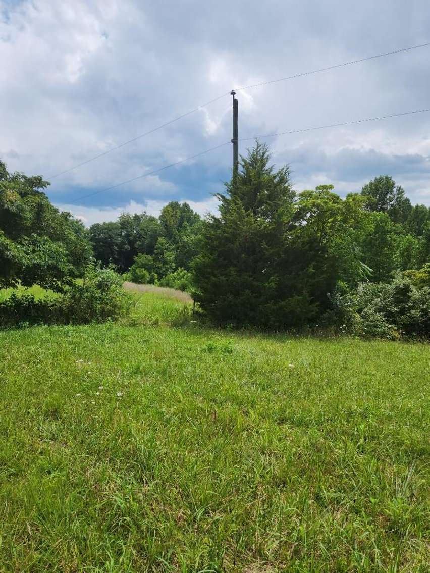Image for Real Estate Auction - 60± Acres with Farmhouse in Patrick County, VA