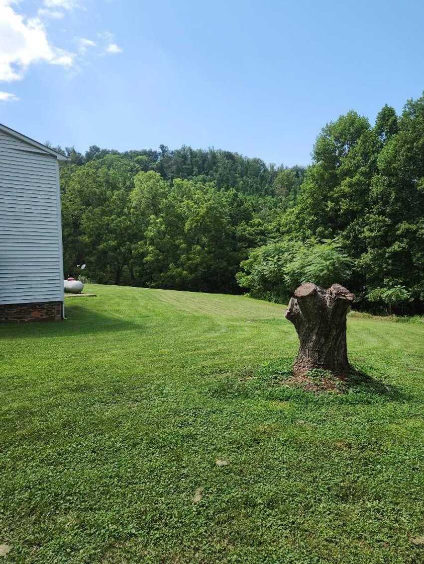 Image for Real Estate Auction - 60± Acres with Farmhouse in Patrick County, VA