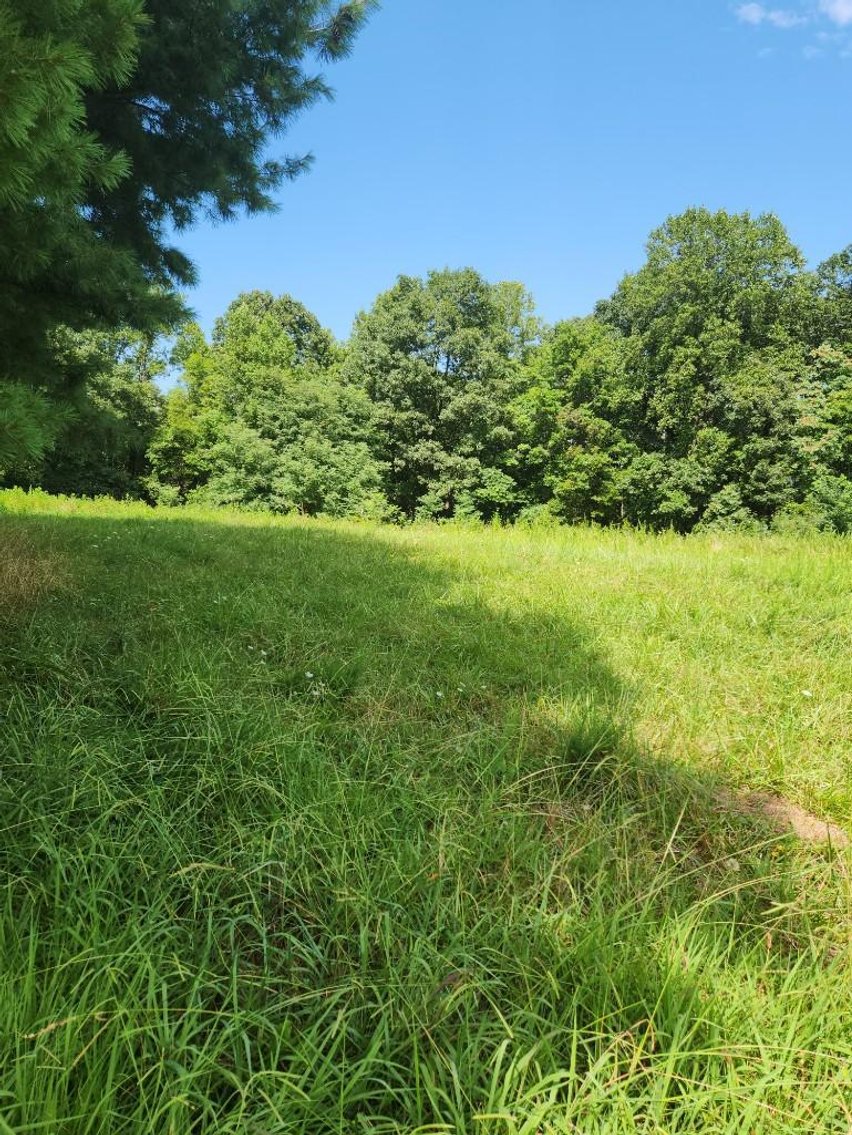 Image for Real Estate Auction - 60± Acres with Farmhouse in Patrick County, VA