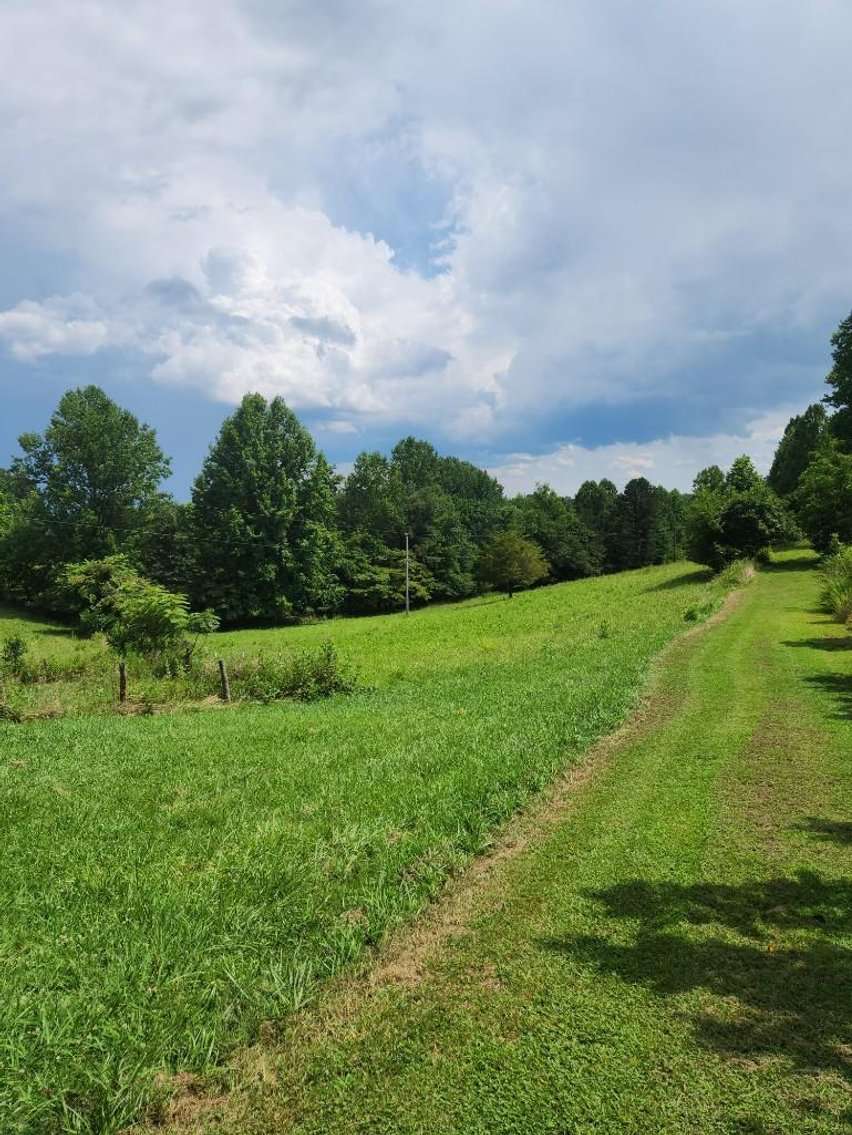 Image for Real Estate Auction - 60± Acres with Farmhouse in Patrick County, VA