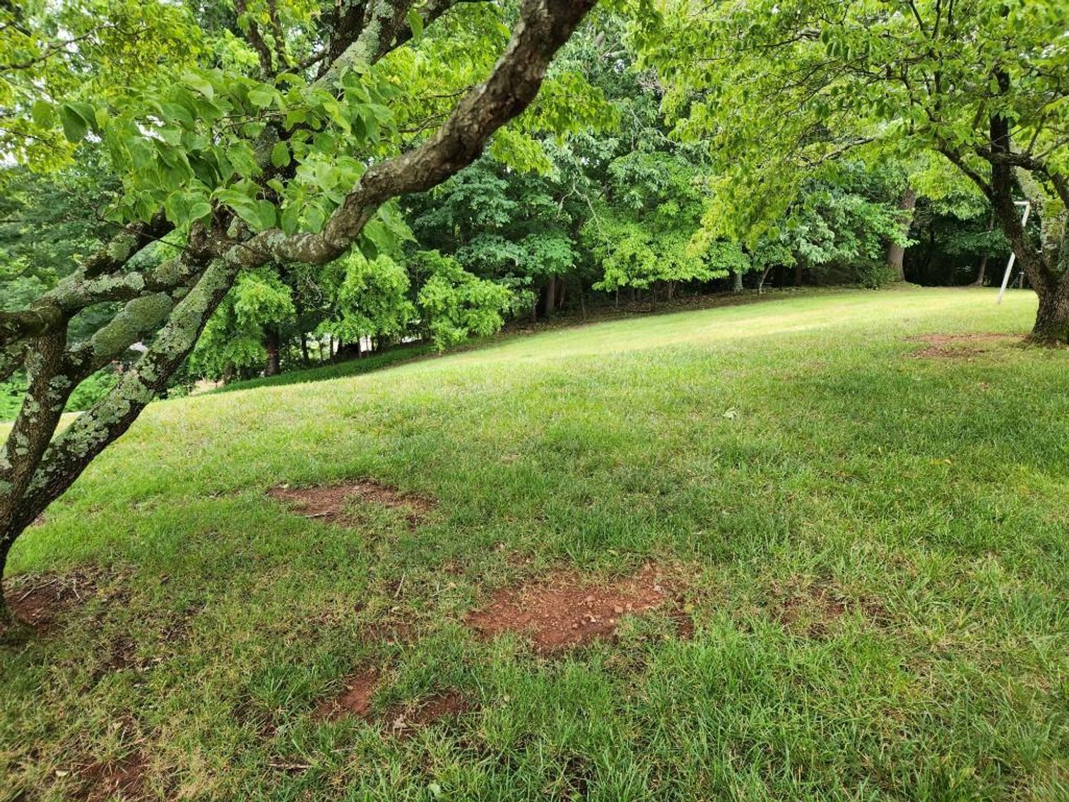 Image for Martha B. West Estate - Home in Collinsville, VA