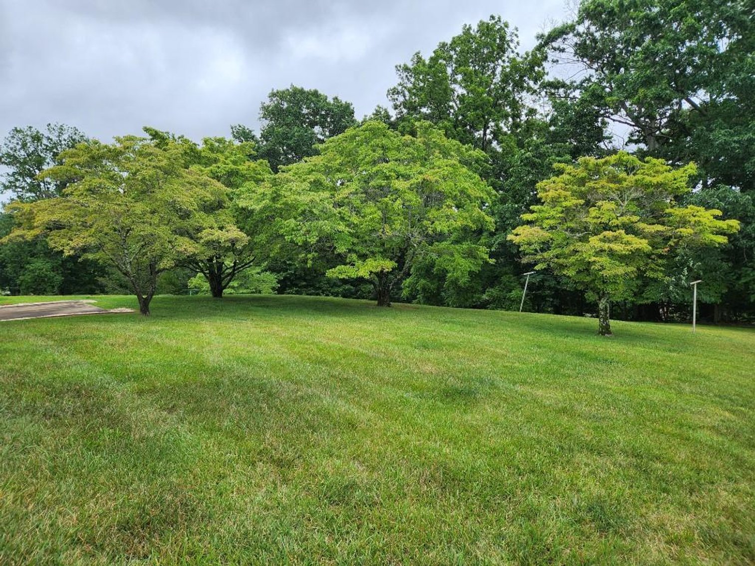 Image for Martha B. West Estate - Home in Collinsville, VA