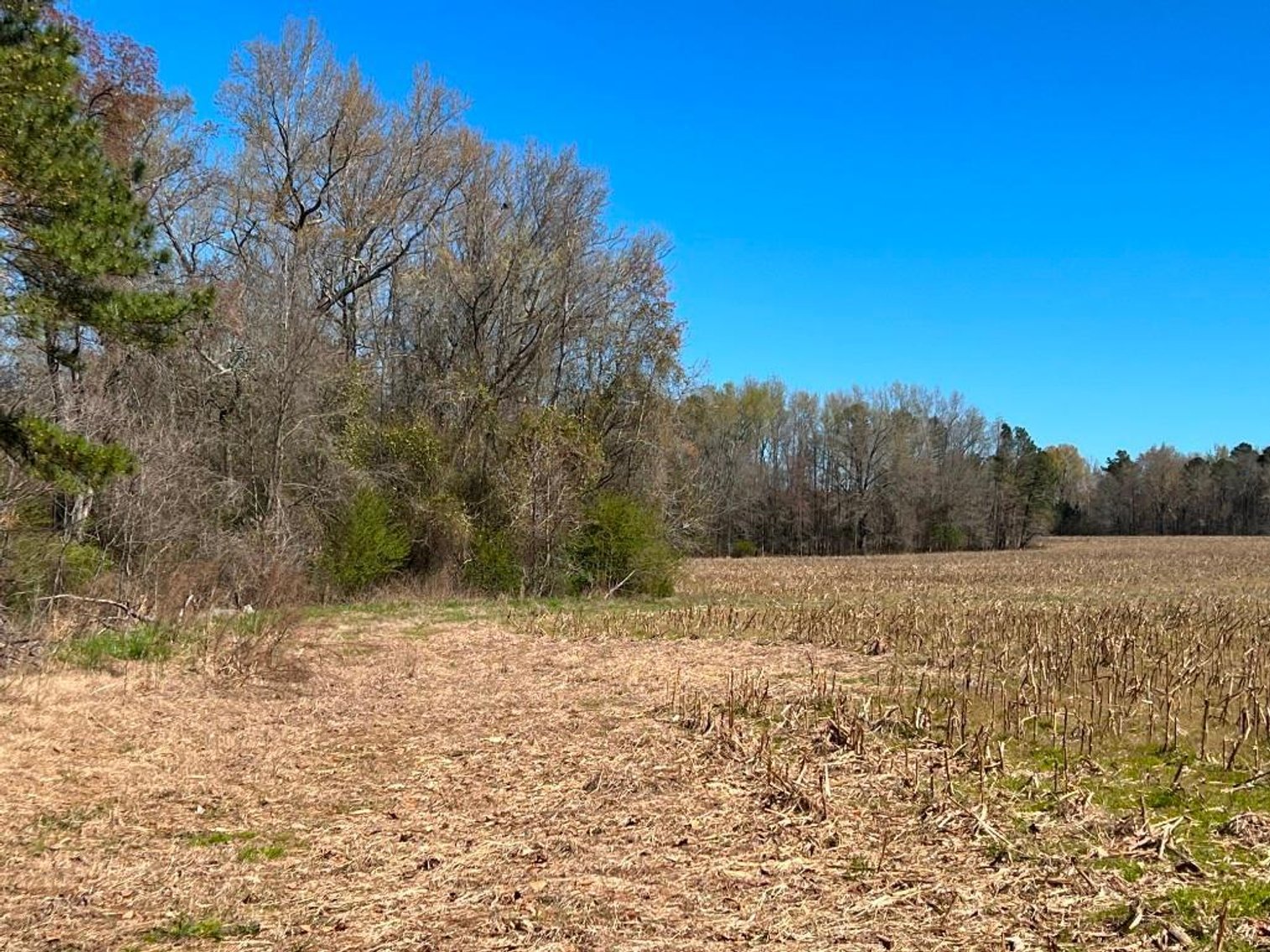 Image for US Marshals Service Auction - Chatham County, NC