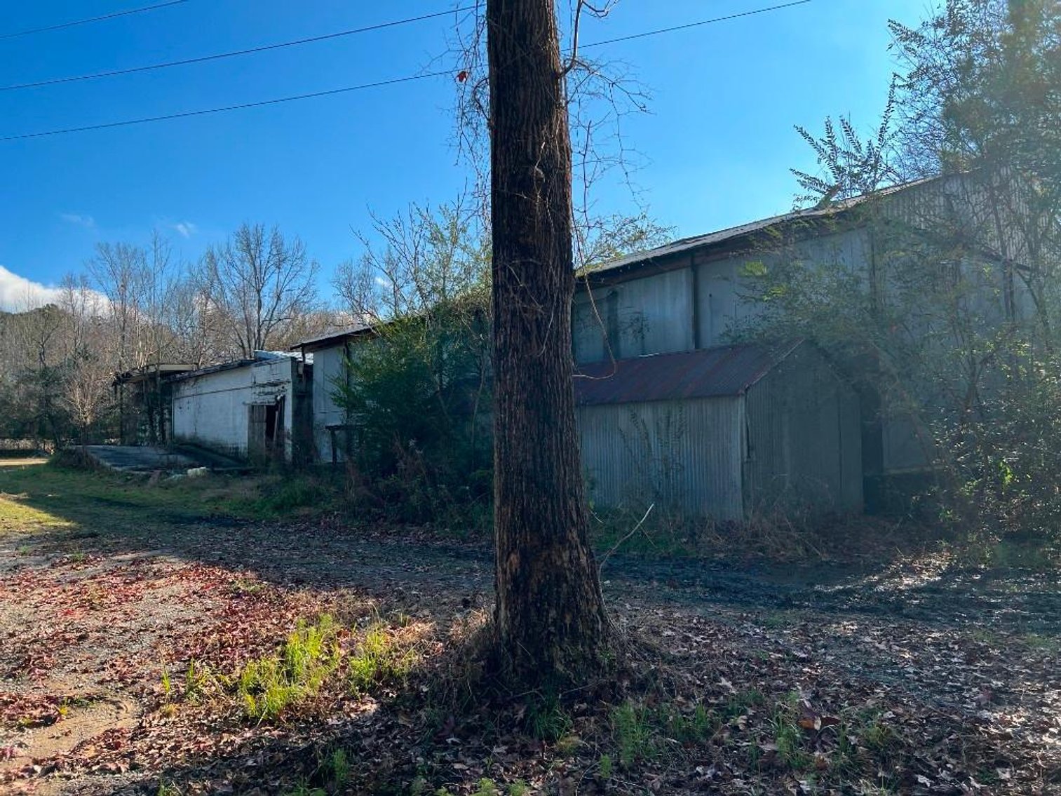 Image for US Marshals Service Online Auction