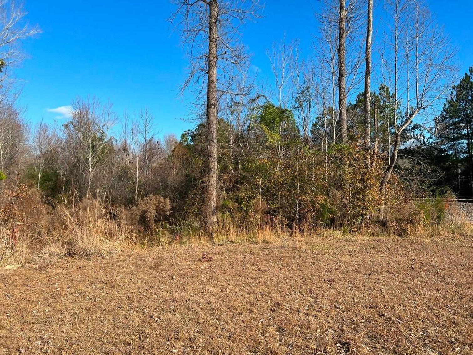 Image for US Marshals Service Online Auction