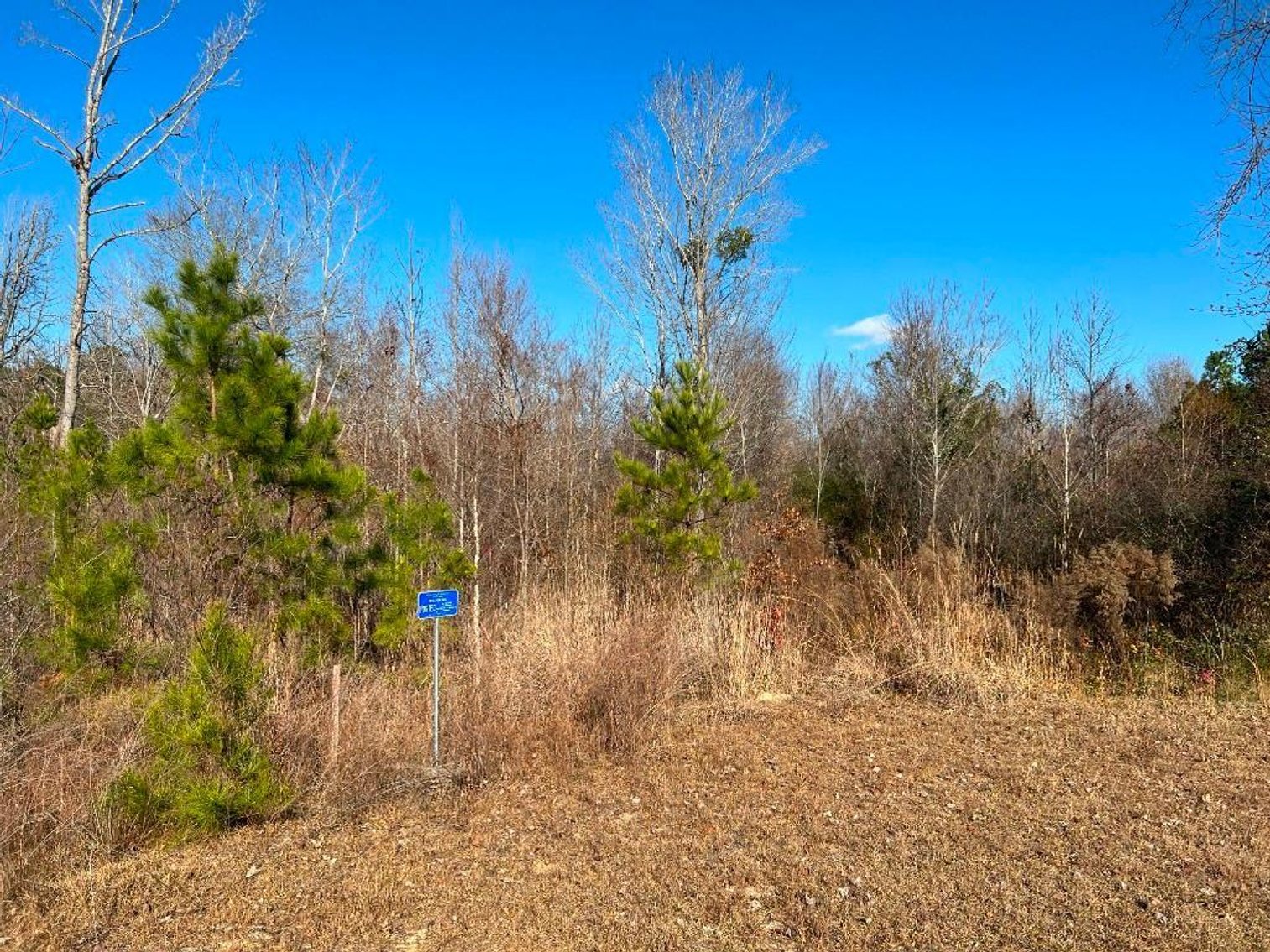 Image for US Marshals Service Online Auction