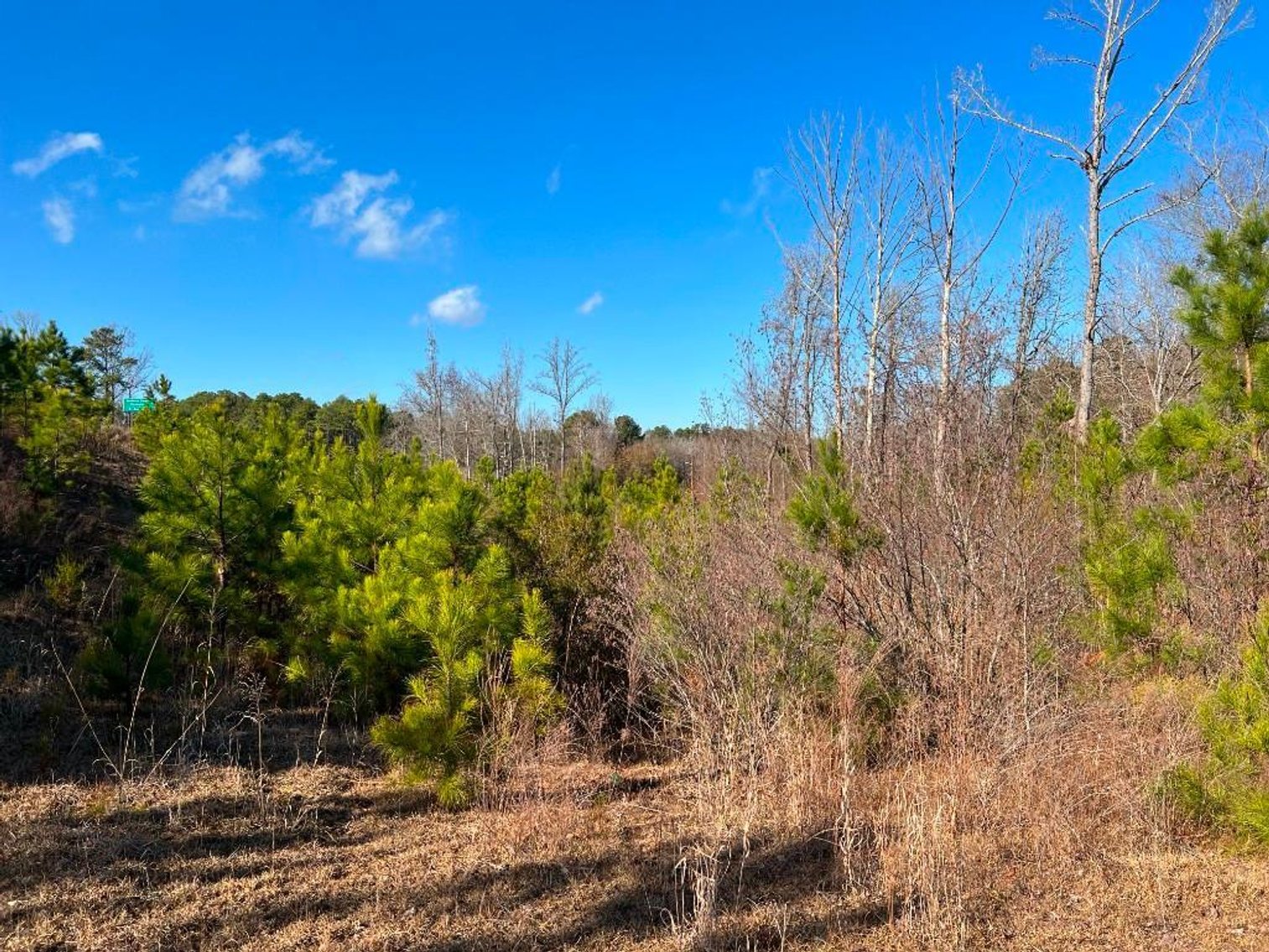 Image for US Marshals Service Online Auction