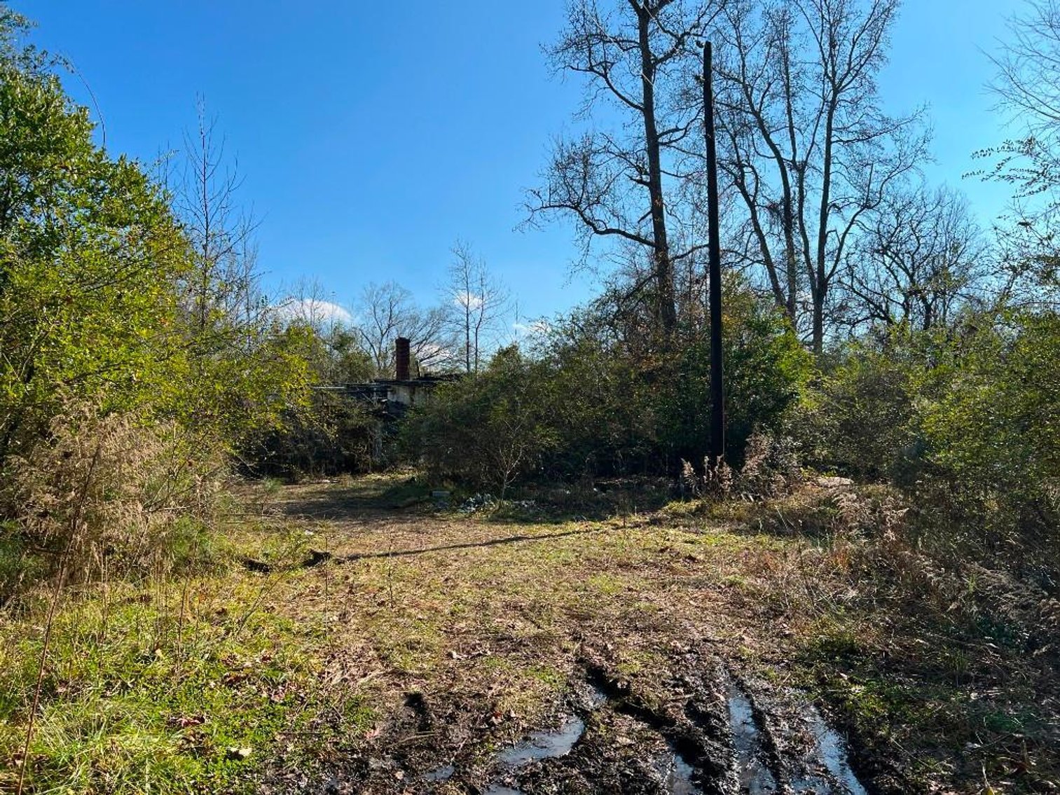 Image for US Marshals Service Online Auction