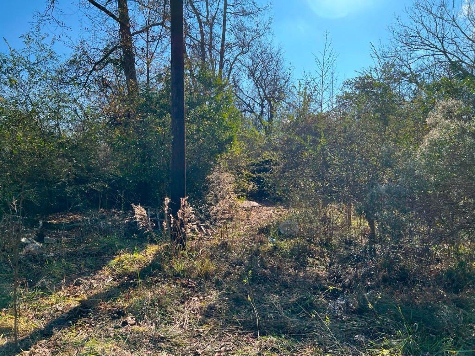 Image for US Marshals Service Online Auction