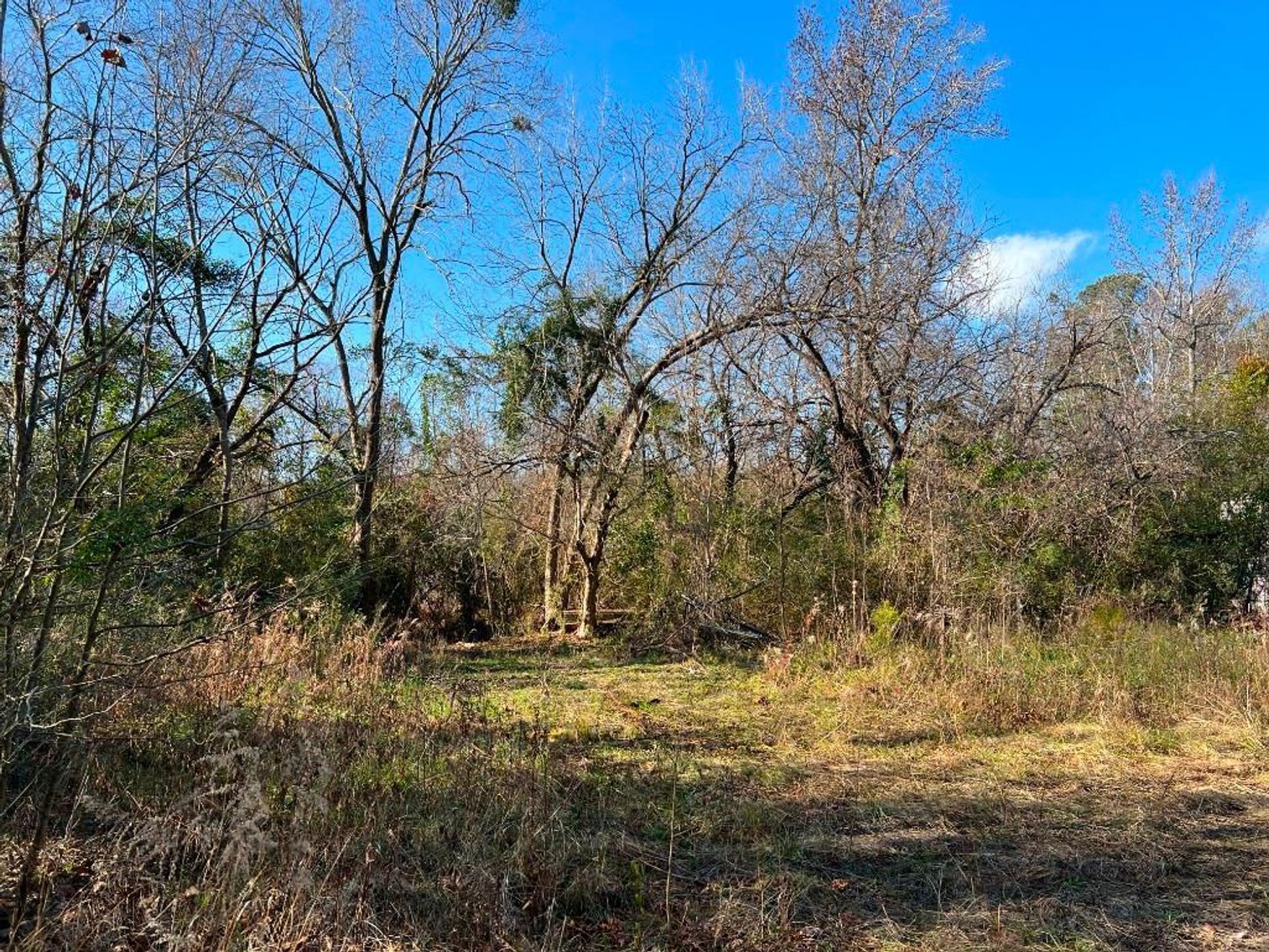 Image for US Marshals Service Online Auction