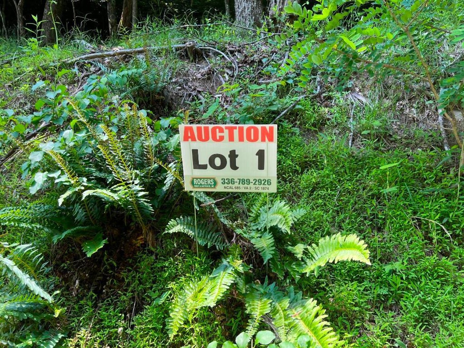 Image for Mountain Lots in Fancy Gap, VA