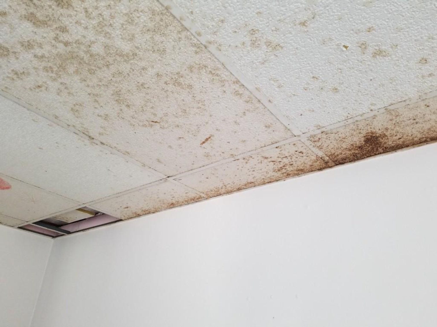 Image for Single Level Home in Ridgeway, VA - Online Only