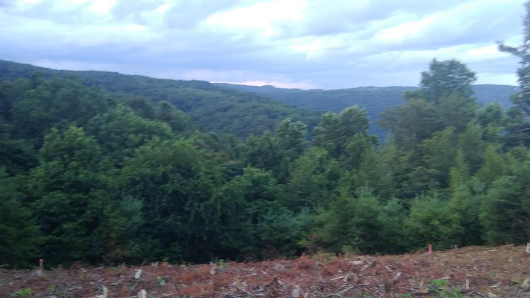 Image for Multi-Property Auction in Fancy Gap, VA