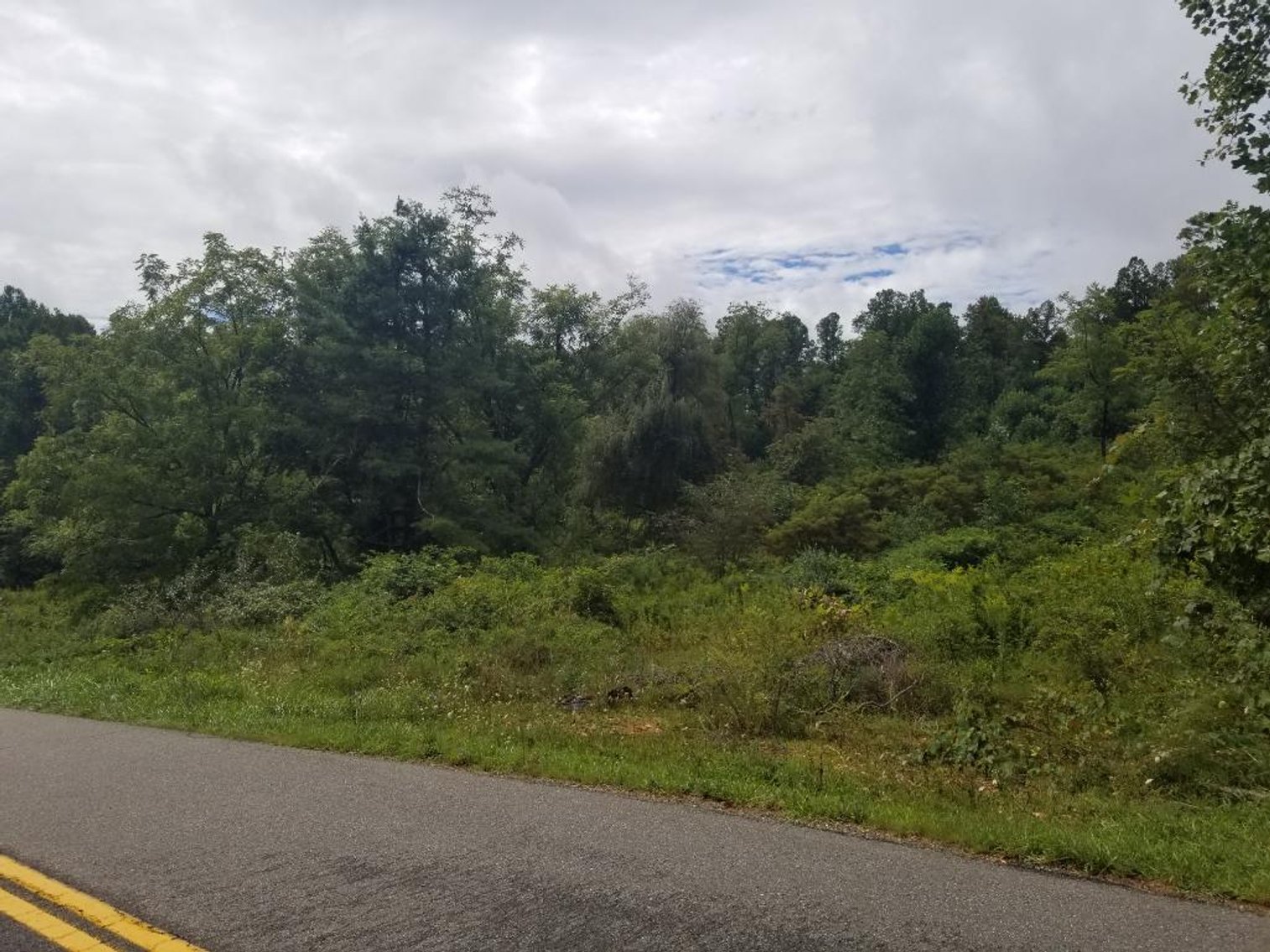 Image for Patrick County, VA Tax Sale - Online Only