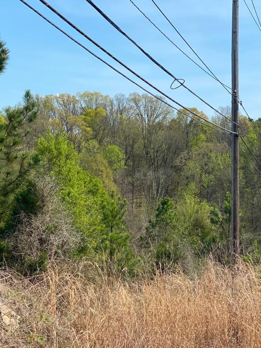 Image for Bankruptcy Auction - Concord, NC - Commercial/Res ±7.28 Acres