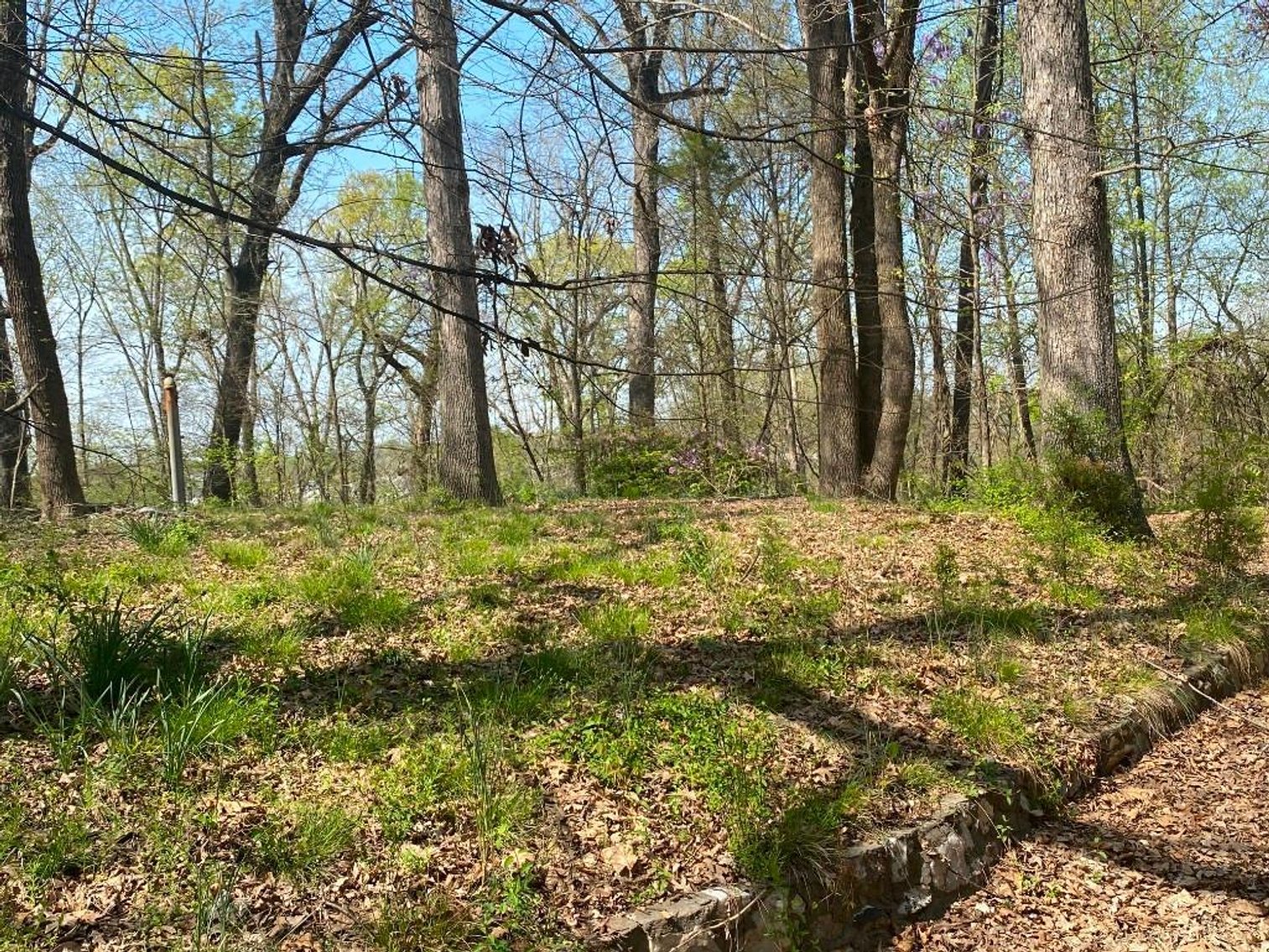 Image for Bankruptcy Auction - Concord, NC - Commercial/Res ±7.28 Acres